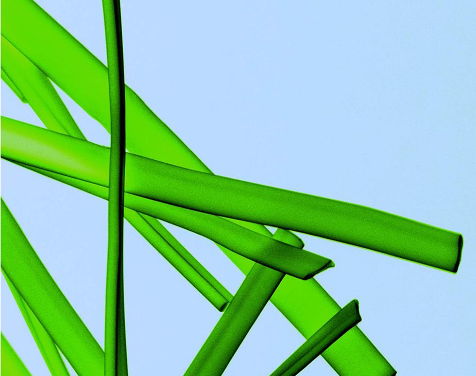 Fibre Grass - Andrew Treharne